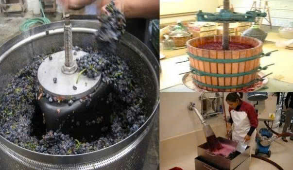 quy-trinh-san-xuat-ruou-vang-king-ngot