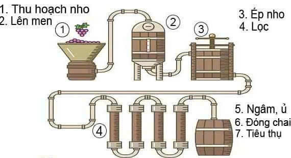 quy-trinh-san-xuat-vang-louis-5-lit