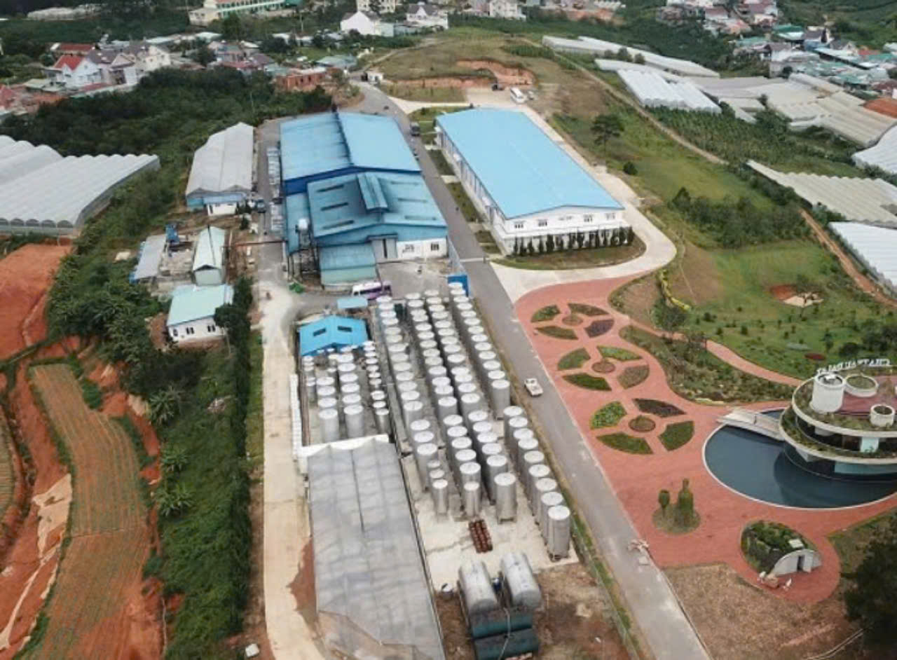 Nha-may-san-xuat-Vang-Da-lat-tại-VN