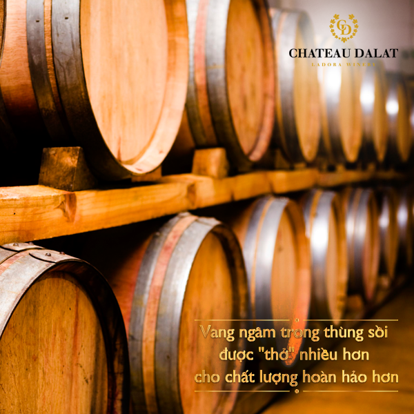 u-single-shiraz-thung-go-soi