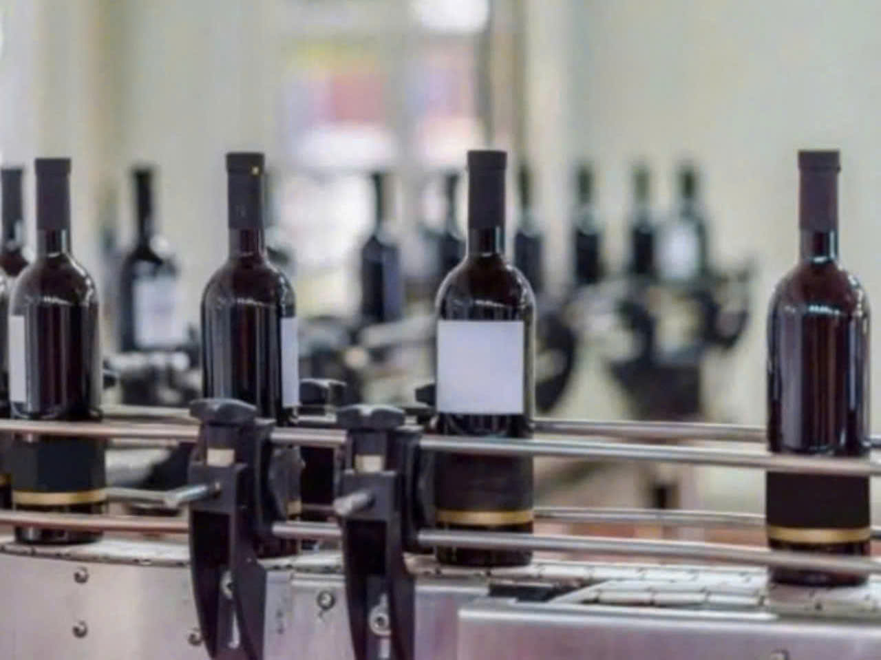 Dong-chai-Vang-phap-Saint-Raymomd