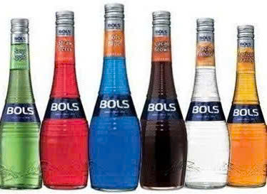 Familia Bols-17