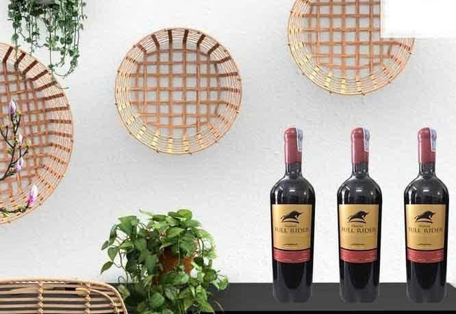 Gioi-thieu-Chateau-Bull-Rider-Icons