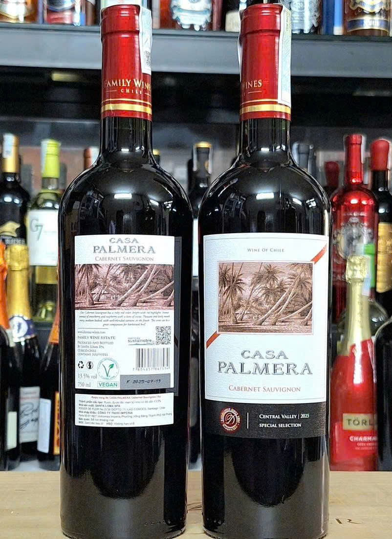 Gioi-thieu-casa-Palmera-CS-Do