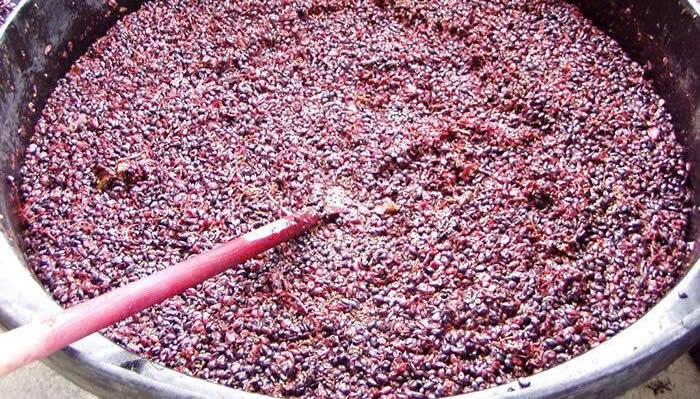 Len-men-ruou-vang-do-49