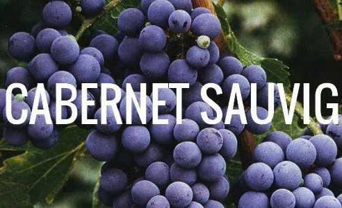 Loai-nho-cabernet-sauvignon-do-49