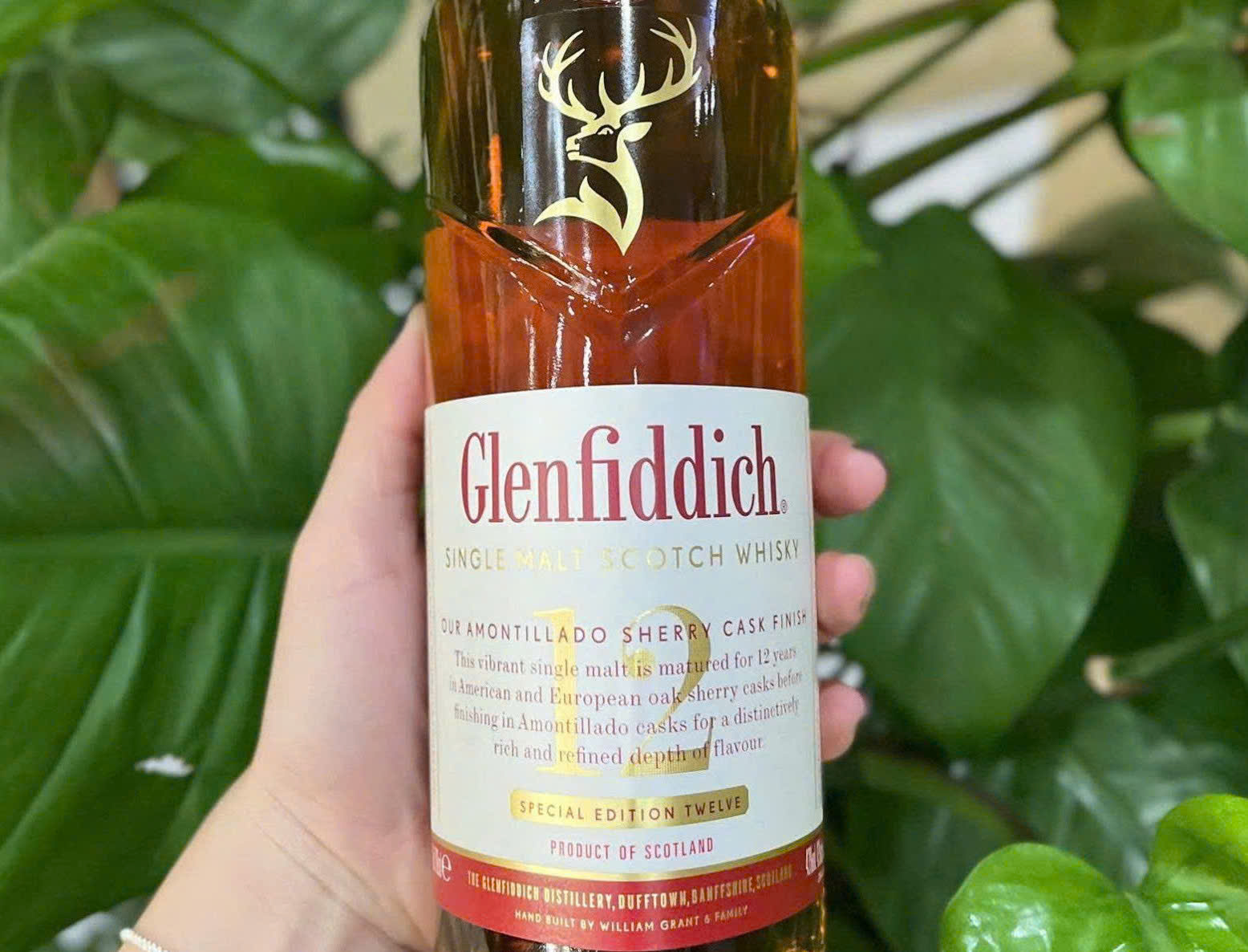 Nhan-hieu-glenfiddich 12-yo sherry cask