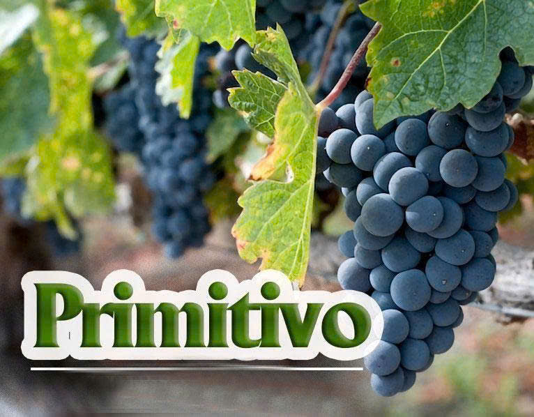 Nho-Primitivo-lam-vang-cay-dan
