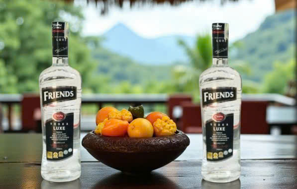 Trung-bay-Vodka-Friend-500-ml-gia-re