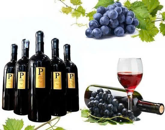 Trung-bay-vang-y-piero-bonnci-primitivo