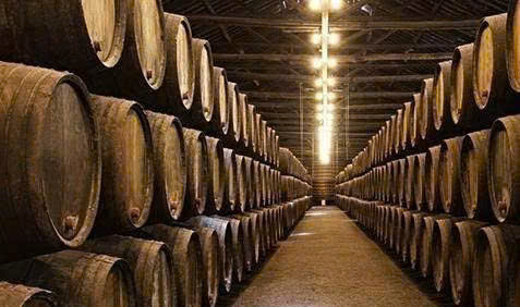 U-r-vang-y-trong-thung-go-soi