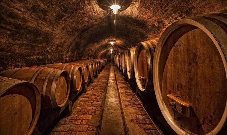 U-vang-phap-trong-thung-go-soi-49