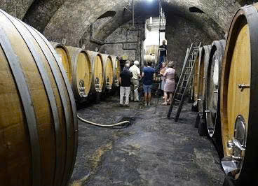 U-vang-terracina-Ngot